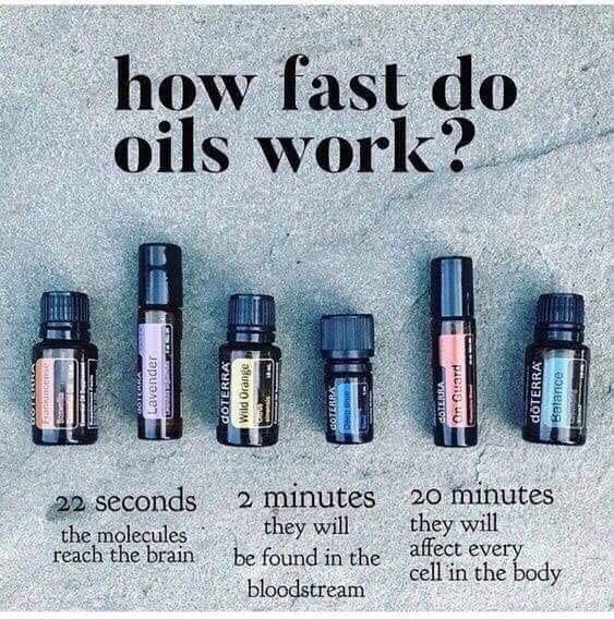 doTerra Oils For Sale