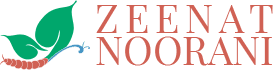 zn-logo zn-logo