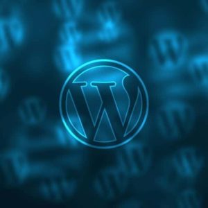 WordPress-Symbol